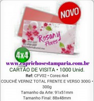 CARTÃO DE VISITA - COUCHÊ VERNIZ TOTAL FRENTE E VERSO 300G - 4x4 - 1000 Unid.